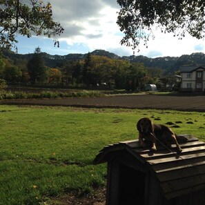 Property grounds - Pension Himawari (Karuizawa)
