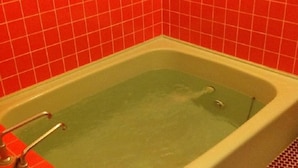 Une baignoire dont l’intérieur est vert, les murs sont recouverts de carreaux rouges et le robinet est en métal.