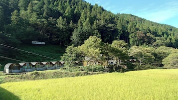 Esterni
