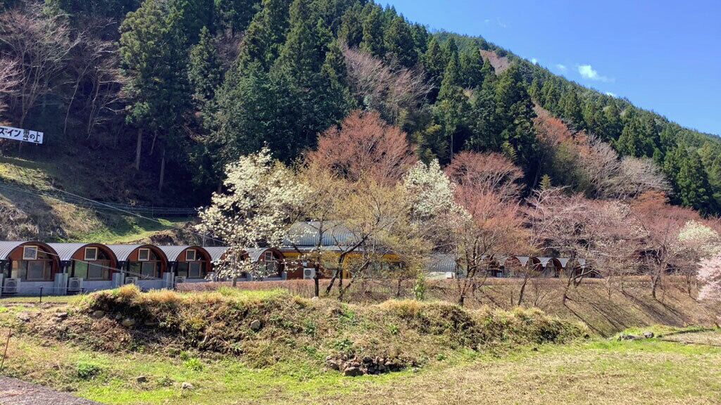 A row of traditional-style buildings with arched windows, set against a backdrop of a forested hillside.
