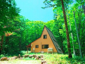 Ulkopuoli