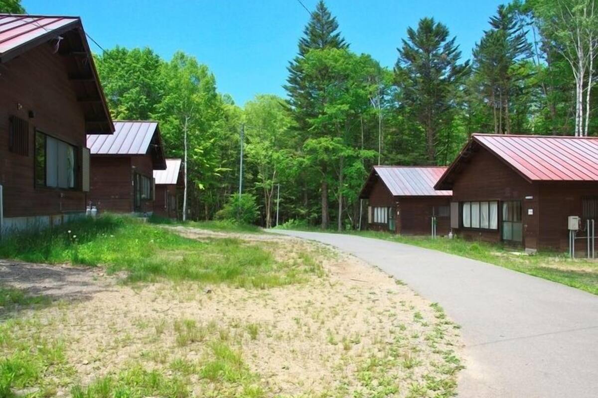 A row of cabins with metal roofs, surrounded by dense forest.