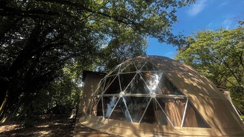 Una estructura en forma de cúpula geométrica con un ventanal transparente, rodeada de árboles.