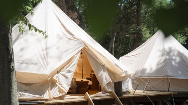 Two white tents with a wooden bench and a ladder, set in a forest. - BUB Resort Tsukuba (Tsukuba)