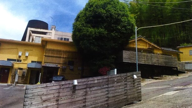 A residential area with a large tree, a wooden fence, and a building with a flat roof.