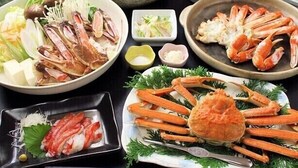 Alimentos y bebidas