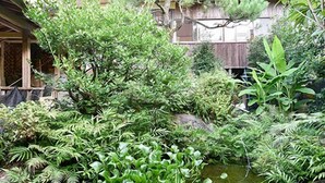A garden with a pond, rocks, and various plants. - Shibi Onsen Hatago Shibiso (Satsuma)