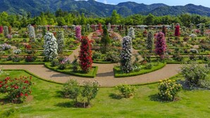 A garden with neatly arranged flower beds and a mountainous backdrop. - Izu Atagawa Onsen Yurakutei (Higashiizu)