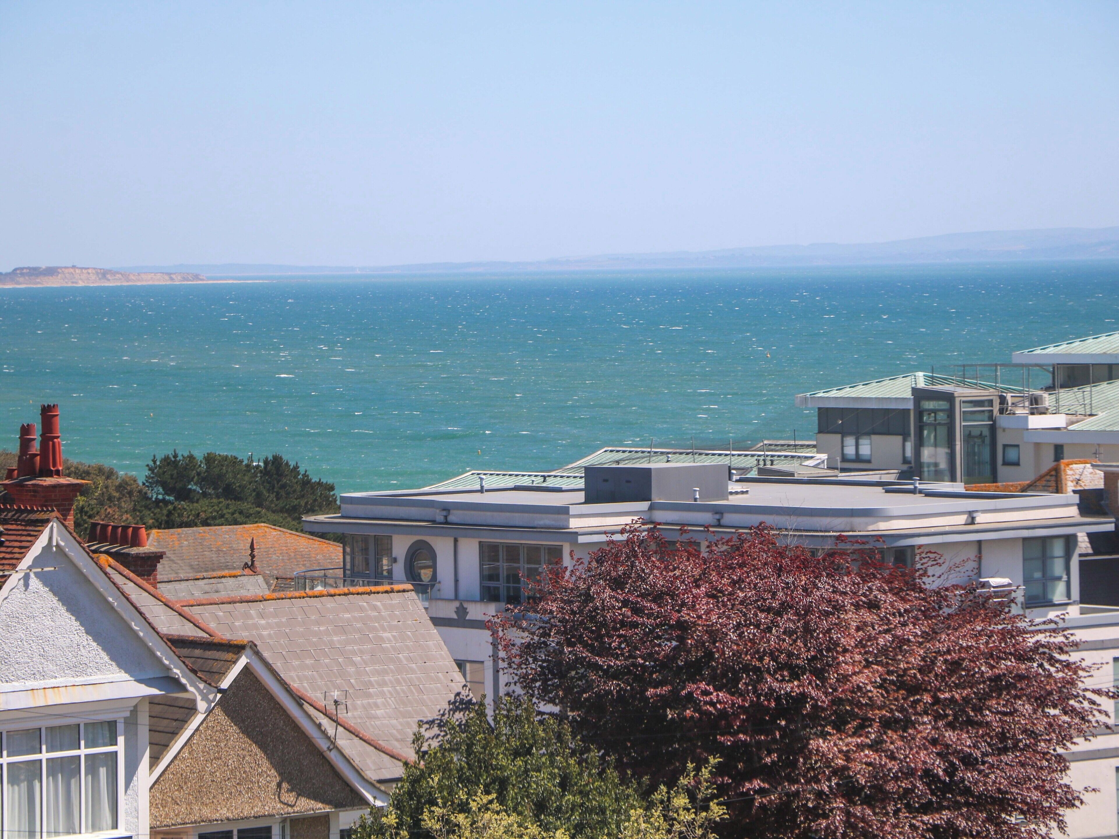 A coastal residential area with modern houses, a view of the sea, and a prominent tree in the foreground.