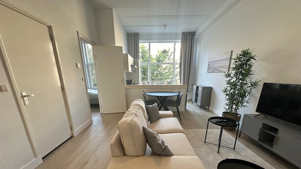 Uma sala de estar moderna com um sofá, uma TV e um espaço de jantar.