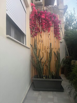 Ein Holzzaun mit rosa Blüten und hohen, grünen Pflanzen.