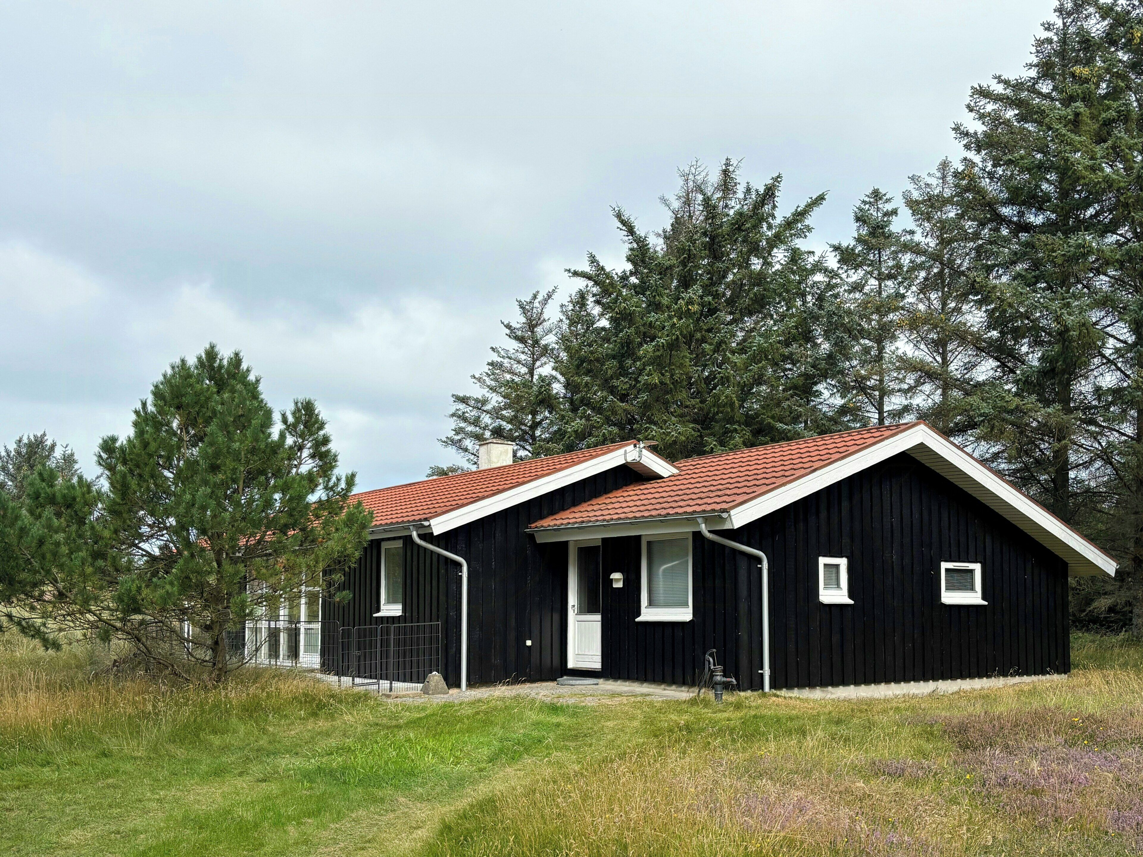 Une cabane noire avec un toit rouge, entourée d’arbres et d’herbe.