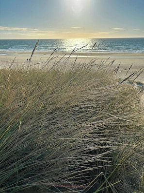 A beach with tall grasses in the foreground and the ocean in the background. - House with wide views in dunes near Blokhus (Blokhus)