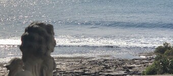 1 minute walk to ocean pool. Front gate open to Cronulla Esplanade Walk.
