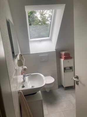 Dusche, Haartrockner, Handtücher