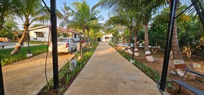 A pathway lined with palm trees leading to a row of white buildings with red roofs.