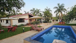 Ein Swimmingpool mit Liegestühlen, einem Tisch und Sonnenschirmen in einem Garten mit Palmen.