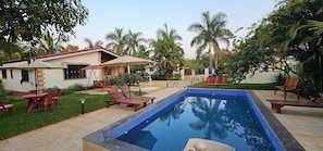 A swimming pool with lounge chairs, a table, and umbrellas in a garden with palm trees.