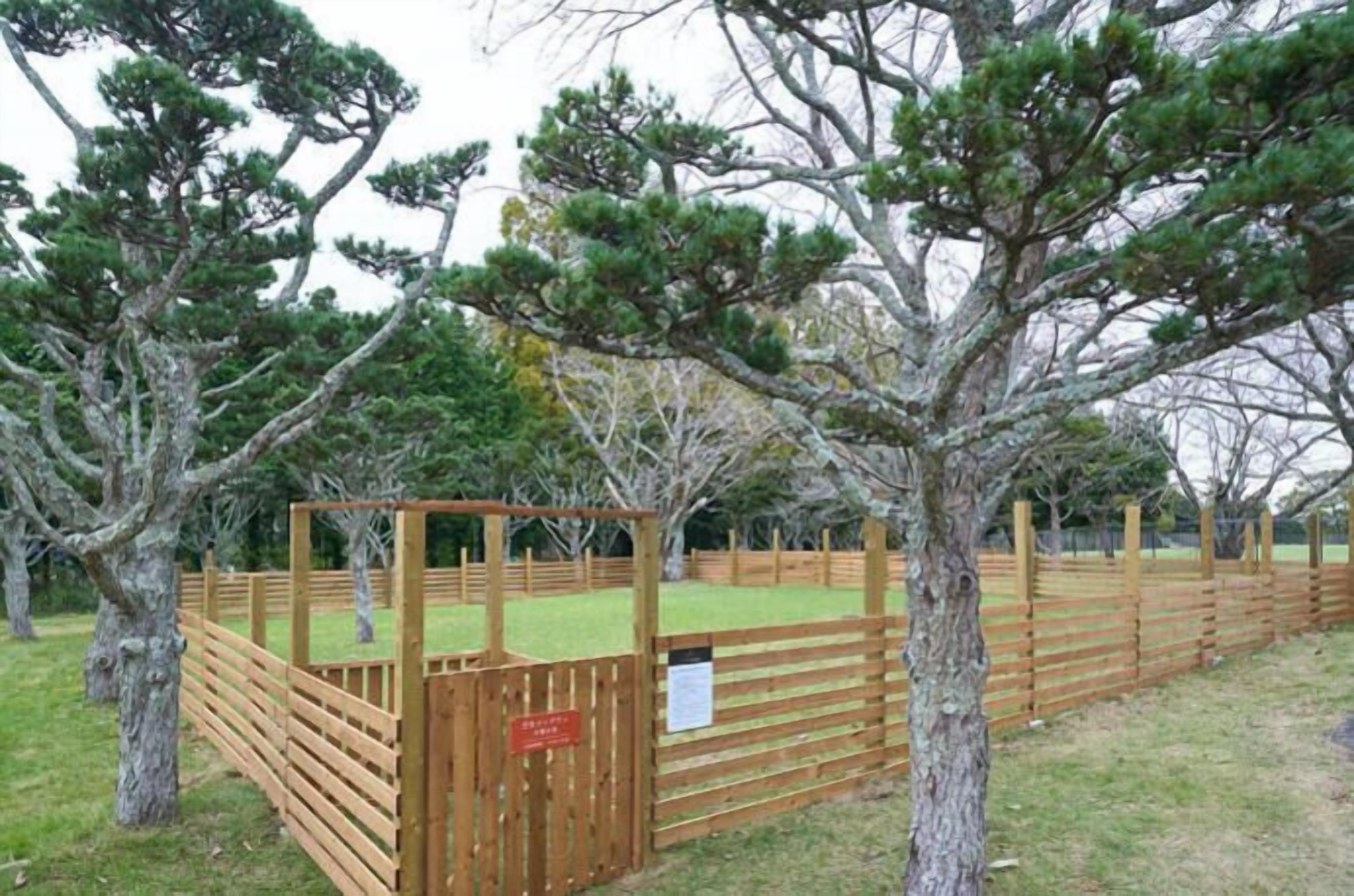 Property grounds