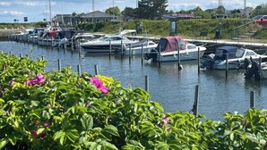 En småbåtshamn med förtöjda båtar, en klar himmel och grönska i förgrunden.