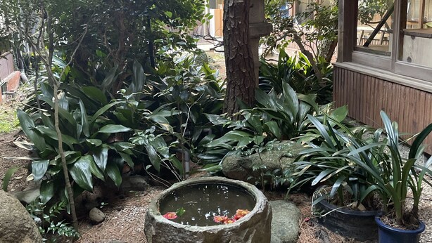 A garden with a stone water feature, various plants, and a wooden building with large windows. - Monzenya (Tokoname)