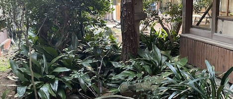 A garden with a stone water feature, various plants, and a wooden building with large windows.