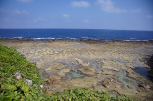 Un paisaje costero con terreno rocoso y vegetación.