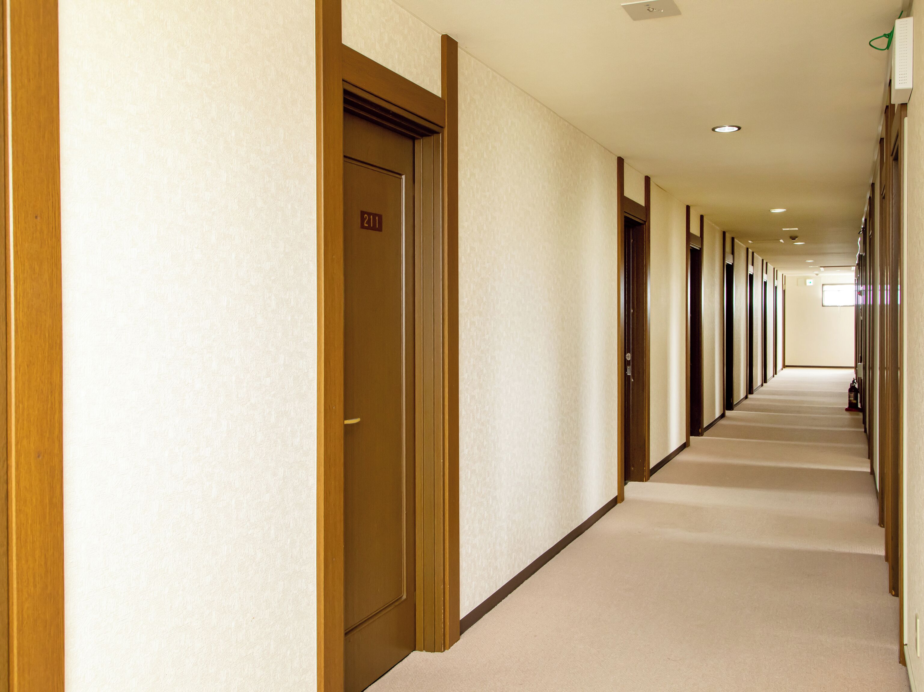 A long, narrow hallway with doors on one side and a carpeted floor.