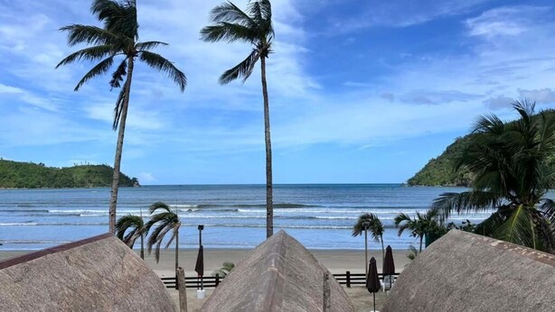 A beach with thatched-roof huts, palm trees, and a view of the ocean.