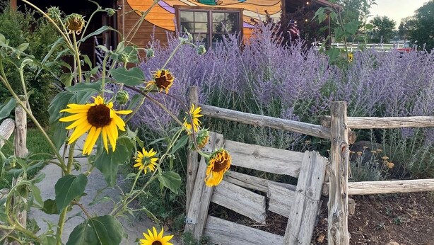 A house with a colorful mural, a wooden fence, and sunflowers. - Boutique Retreat, Canyon Room (Escalante)