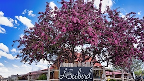 A wooden signboard with 'The Kubird Inn' written on it, surrounded by a rustic wooden fence and a flowering tree. - Boutique Retreat, Canyon Room (Escalante)