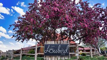 Un letrero de madera con la leyenda 'The Kubird Inn', rodeado por una valla de madera rústica y un árbol en flor.