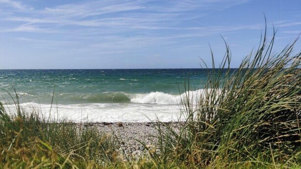 Una spiaggia con onde, erba e cielo sereno.