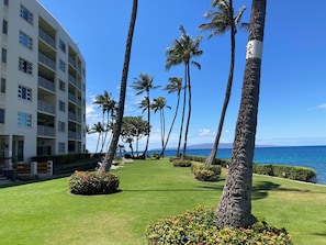 Property grounds - Front Row on Maui's Shoreline. Turtles, Sunsets and Ocean-to-Mountain Views (Kihei)