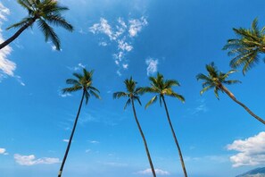 Miscellaneous - Front Row on Maui's Shoreline. Turtles, Sunsets and Ocean-to-Mountain Views (Kihei)