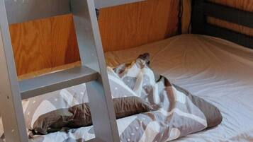A bunk bed with a ladder, wooden walls, and a window.