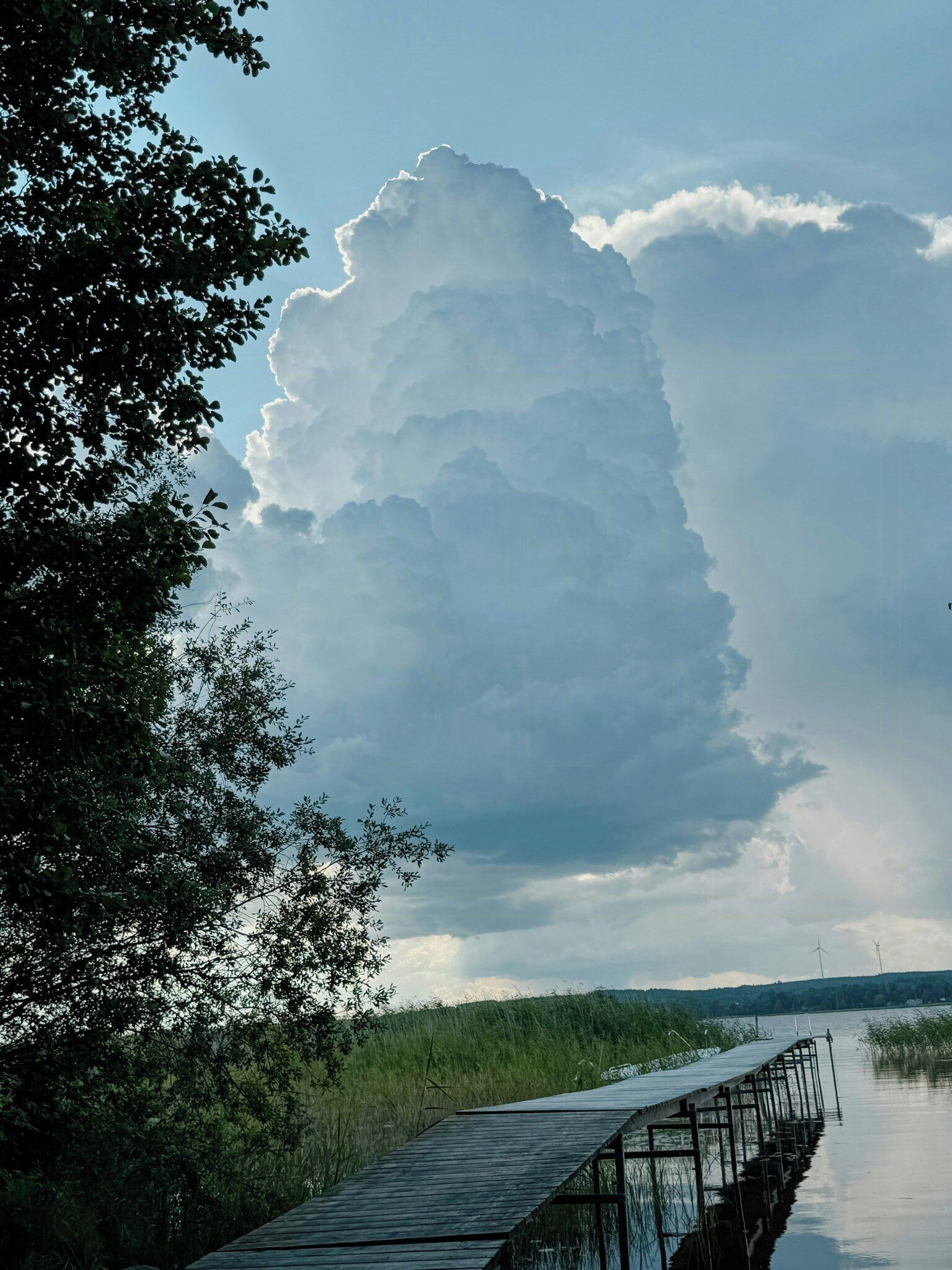 Ein hölzerner Steg erstreckt sich über ein Gewässer, umgeben von dichtem Grün und einer großen Wolkenformation.