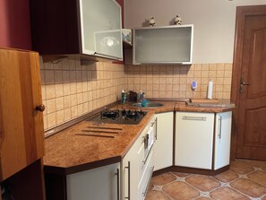 Private kitchen - Vrbo Property (Antonin)