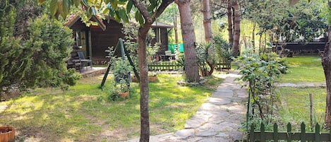 A garden with a pathway, a wooden cabin, and a small tree in a pot.