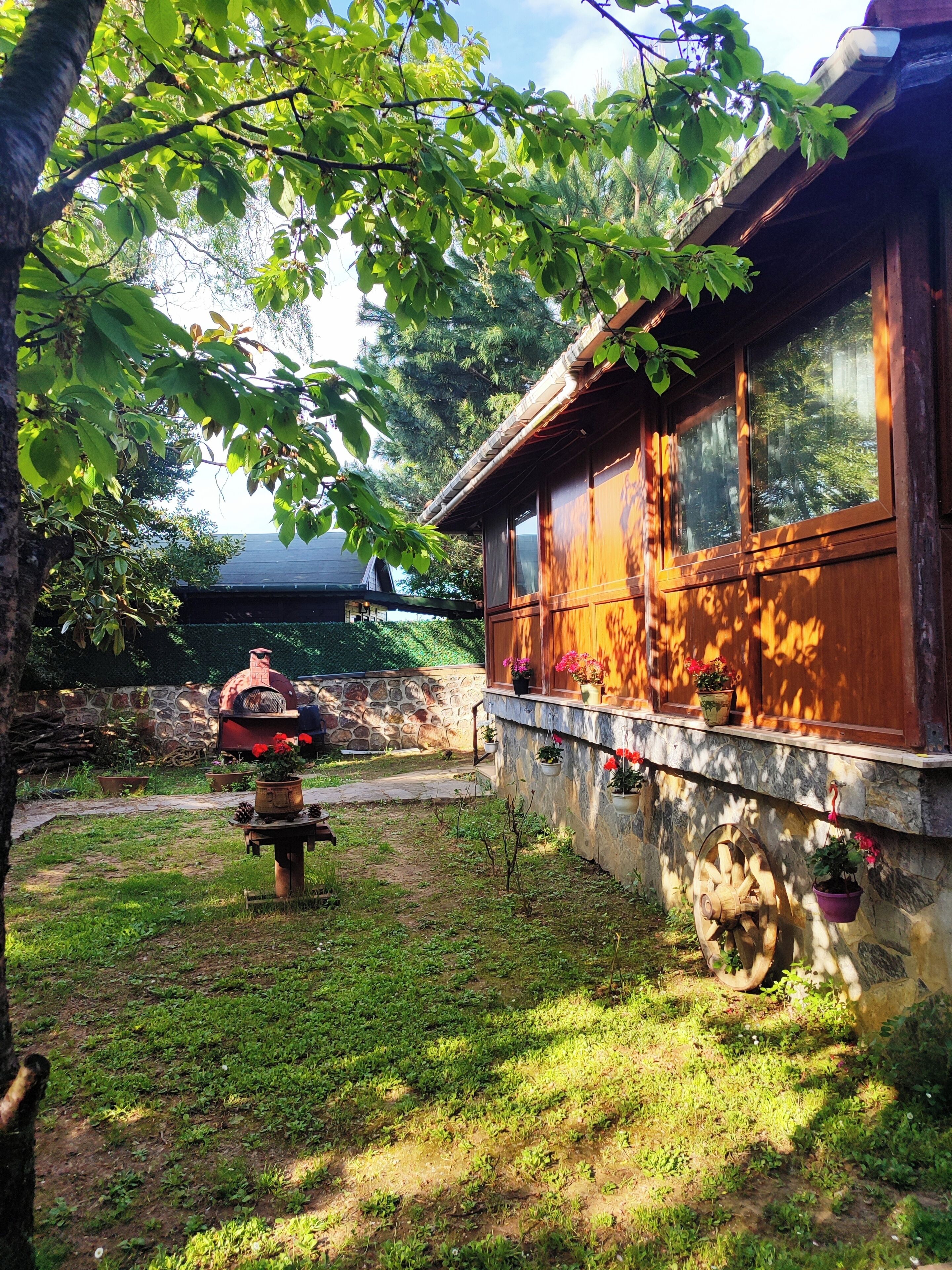 A wooden house with large windows, a stone wall, and a garden with potted plants.