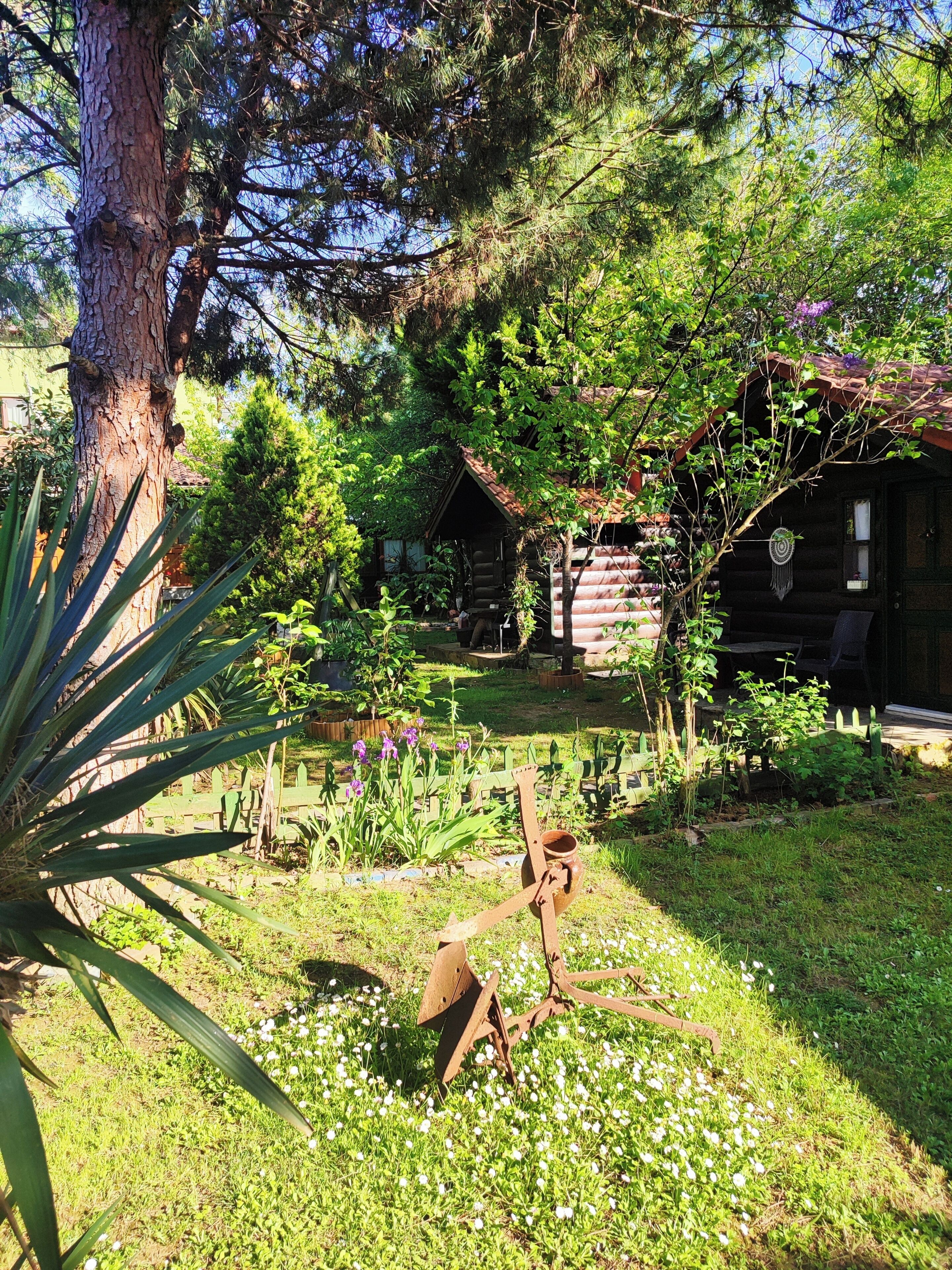 A rustic cabin surrounded by a garden with a variety of plants and flowers.