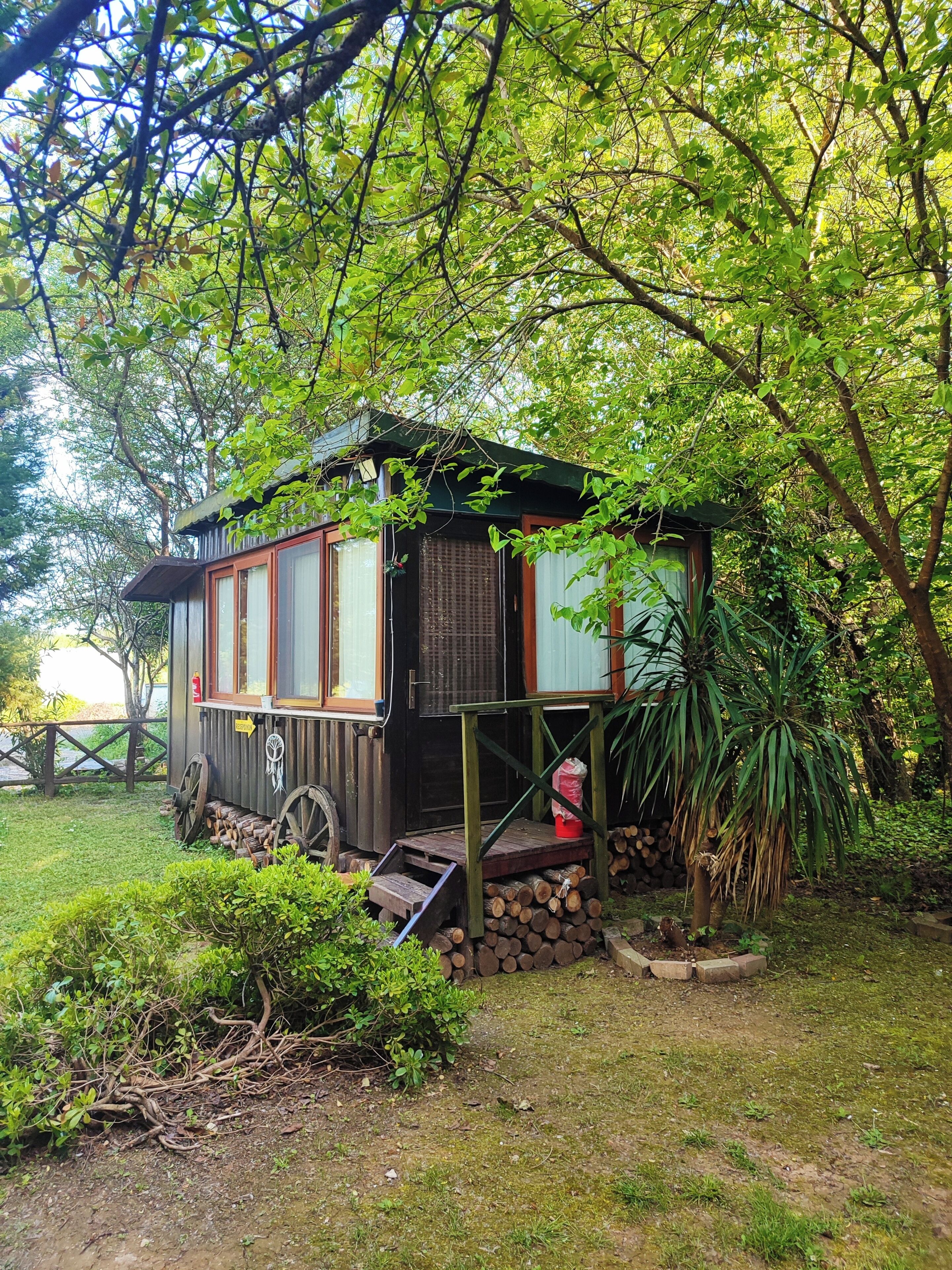 Comfort-Zimmer, Gartenblick | Außenbereich