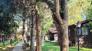 A stone pathway leading through a wooded area with a rustic cabin and a lamp post. - Agva Tartaruga Motel (Sile)