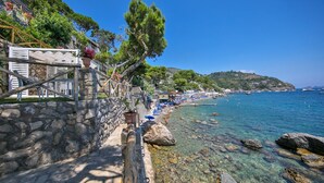 Un paseo marítimo con muros de piedra, plantas en macetas y una vista despejada del mar.