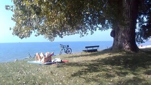 Plage à proximité