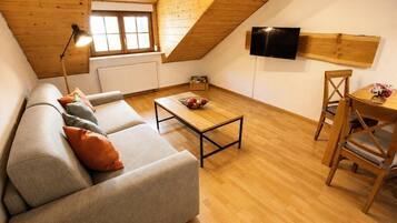 TV, table tennis