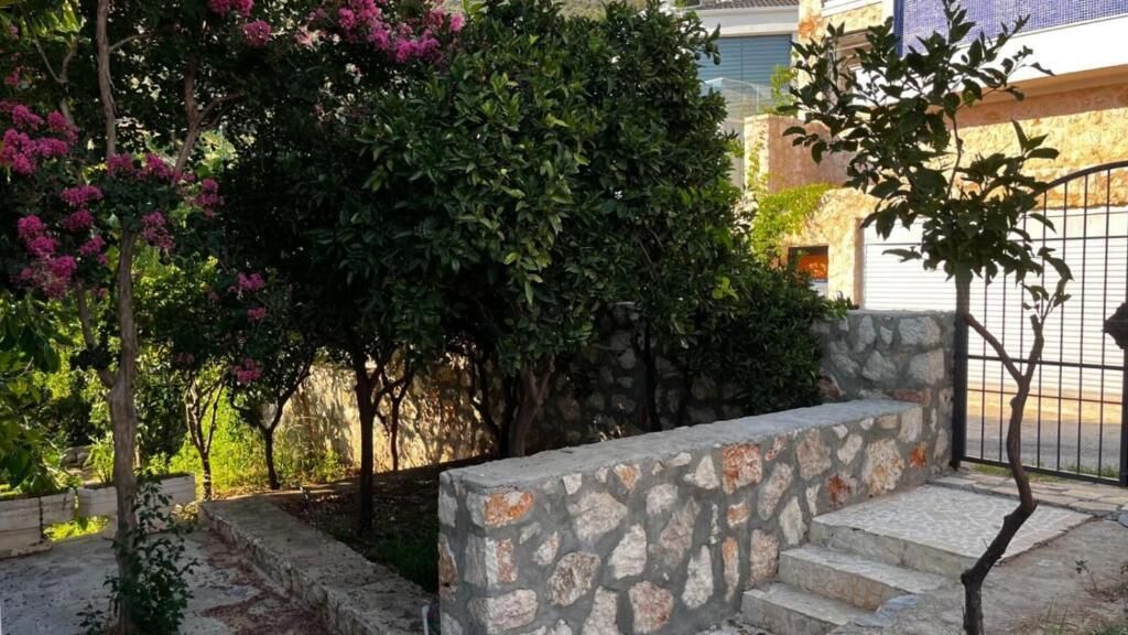 A stone staircase leading to a building entrance, surrounded by lush greenery and flowering plants.