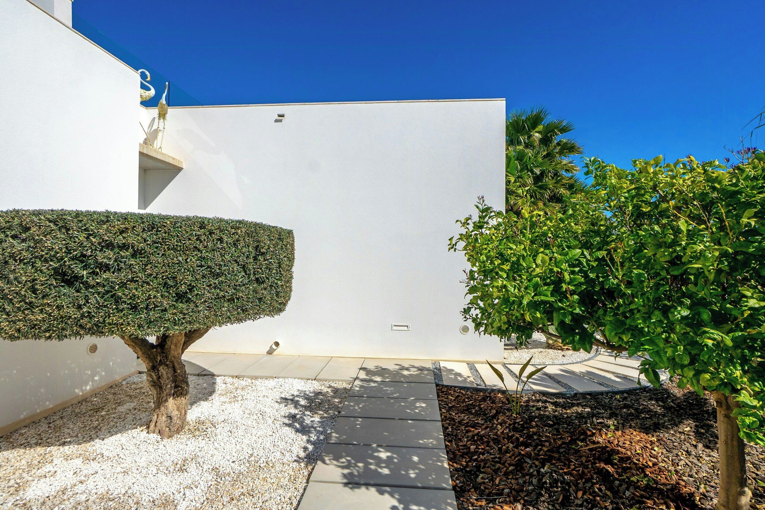 Un edificio moderno con fachada blanca, una siega de seto cuidada y un pequeño árbol.