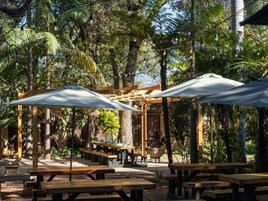 Un área de comedor al aire libre con mesas de madera y sombrillas, rodeada de exuberante follaje y árboles.