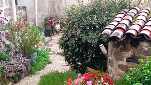 Un sendero en un jardín con grava, rodeado de macetas y flores variadas.